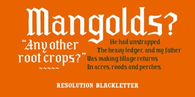 RESOLUTION by Barnbrook Fonts — Blackletter Font — thumbnail 10