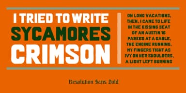 RESOLUTION by Barnbrook Fonts — Blackletter Font — thumbnail 6