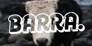 RIPSTER ROUGH by Rodrigo Typo — Display Font — thumbnail 7