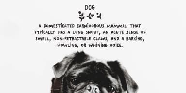 Rise Up With Fists by Ana's Fonts — Dingbats Font — thumbnail 6