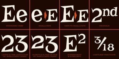 Risque Pro by Stiggy & Sands — Decorative Font — thumbnail 4