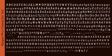 Risque Pro by Stiggy & Sands — Decorative Font — thumbnail 5