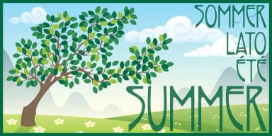 RIVANNA NF PRO by CheapProFonts — Decorative Font — thumbnail 4