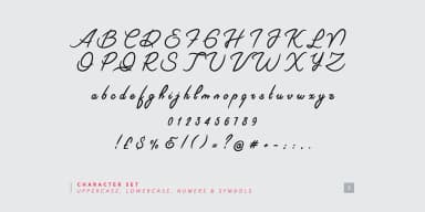 Riviera Signature Font by Unio Creative Solutions — Script Handwritten Font — thumbnail 5