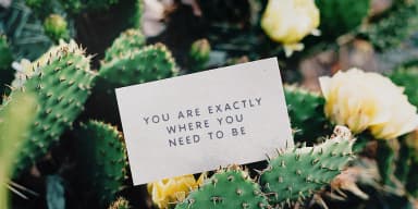 Rockford by Ana's Fonts — Decorative Font — thumbnail 10