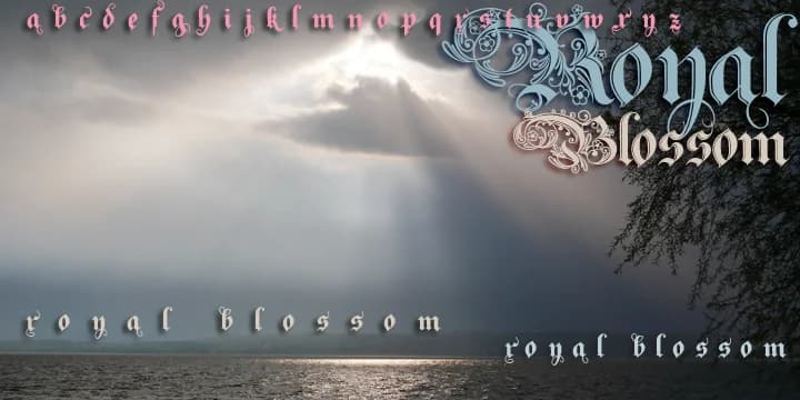 RoyalBlossom by Wiescher-Design — Blackletter Font