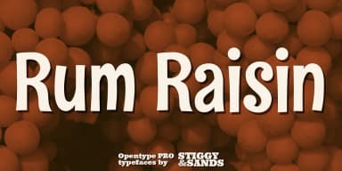 Rum Raisin Pro by Stiggy & Sands — Decorative Font — thumbnail 1