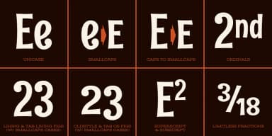 Rum Raisin Pro by Stiggy & Sands — Decorative Font — thumbnail 4