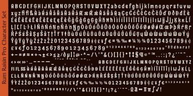 Rum Raisin Pro by Stiggy & Sands — Decorative Font — thumbnail 5