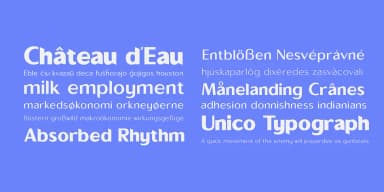 Sallona™ by Masa Type — Display Font — thumbnail 8