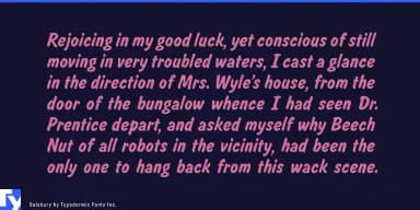 Salsbury by Typodermic Fonts Inc. — Decorative Font — thumbnail 4