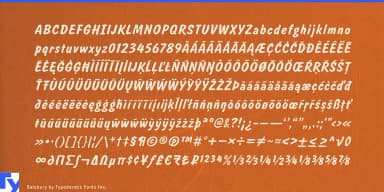 Salsbury by Typodermic Fonts Inc. — Decorative Font — thumbnail 5