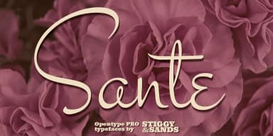 Sante Pro by Stiggy & Sands — Dingbats Font — thumbnail 1