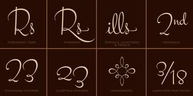 Sante Pro by Stiggy & Sands — Dingbats Font — thumbnail 7