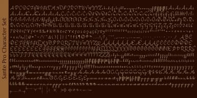 Sante Pro by Stiggy & Sands — Dingbats Font — thumbnail 8