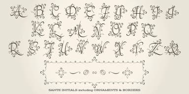 Sante Pro by Stiggy & Sands — Dingbats Font — thumbnail 9