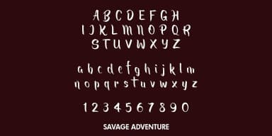 Savage Adventure by Pedro Teixeira — Script Handwritten Font — thumbnail 4