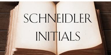 SCHNEIDLER INITIALS by FontHaus — Display Font — thumbnail 3