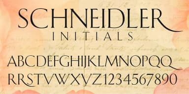 SCHNEIDLER INITIALS by FontHaus — Display Font — thumbnail 5