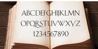 SCHNEIDLER INITIALS by FontHaus — Display Font — thumbnail 6