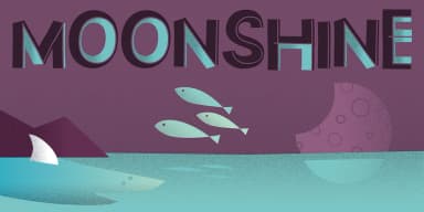 Scholle by Tour de Force Font Foundry — Display Font — thumbnail 5