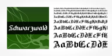 Schwarzwald Pro by SoftMaker — Blackletter Font — thumbnail 5