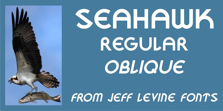 SEAHAWK JNL by Jeff Levine Fonts — Decorative Font