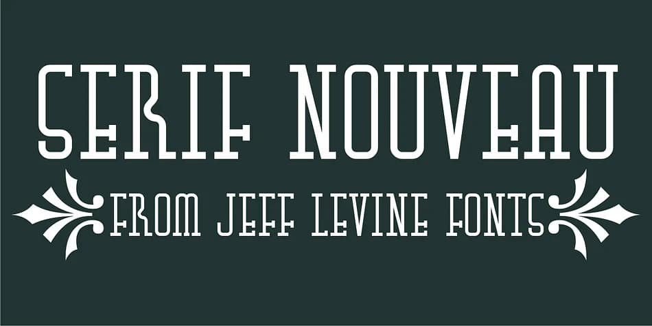 SERIF NOUVEAU JNL by Jeff Levine Fonts — Decorative Font