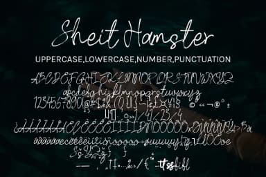 Sheit Hamster by Ayska — Script Handwritten Font — thumbnail 7