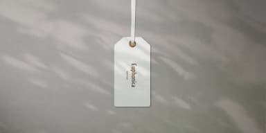 Short Films by Dharma Type — Decorative Font — thumbnail 10