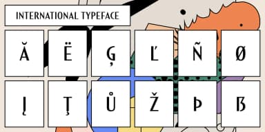 Short Films by Dharma Type — Decorative Font — thumbnail 3