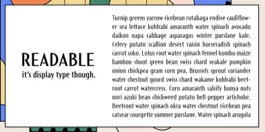 Short Films by Dharma Type — Decorative Font — thumbnail 8