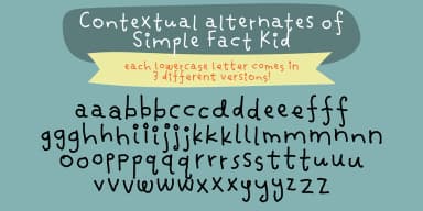 Simple Fact by Bogstav — Dingbats Font — thumbnail 10