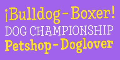 Skippie by Rodrigo Typo — Dingbats Font — thumbnail 8