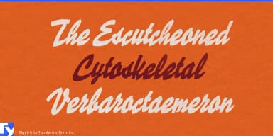 Skygirls by Typodermic Fonts Inc. — Script Handwritten Font — thumbnail 2