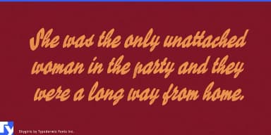 Skygirls by Typodermic Fonts Inc. — Script Handwritten Font — thumbnail 4