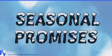 SNOWA by Typodermic Fonts Inc. — Decorative Font — thumbnail 6