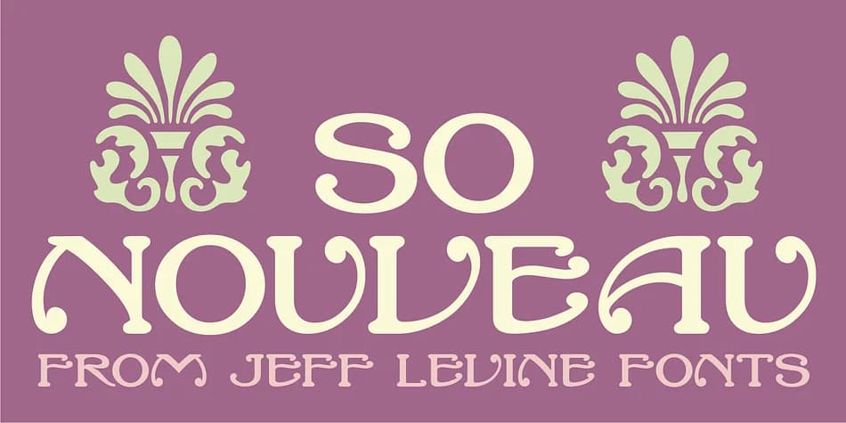 SO NOUVEAU JNL by Jeff Levine Fonts — Decorative Font