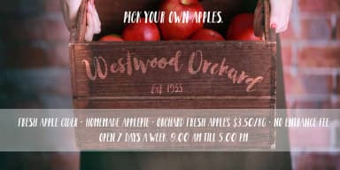 Somersault by Fontforecast — Script Handwritten Font — thumbnail 8