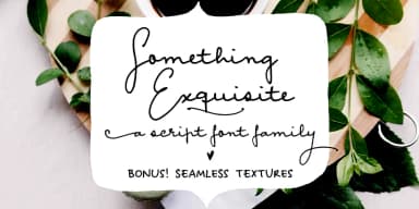 Something Exquisite by Ana's Fonts — Dingbats Font — thumbnail 1