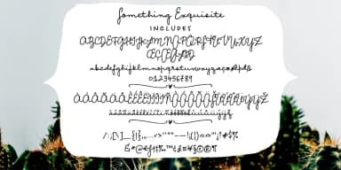 Something Exquisite by Ana's Fonts — Dingbats Font — thumbnail 2