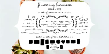 Something Exquisite by Ana's Fonts — Dingbats Font — thumbnail 4