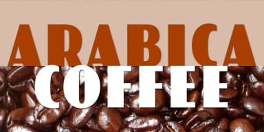 Sonrisa by CastleType — Decorative Font — thumbnail 8