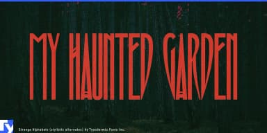 STRANGE ALPHABETS by Typodermic Fonts Inc. — Decorative Font — thumbnail 7