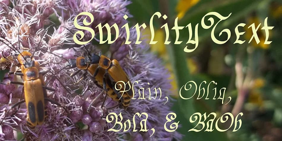 SwirlityText by Ingrimayne Type — Blackletter Font