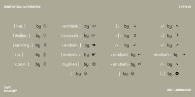 TA Gosling by TAFT Foundry — Display Font — thumbnail 10