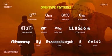 TA Gosling by TAFT Foundry — Display Font — thumbnail 8