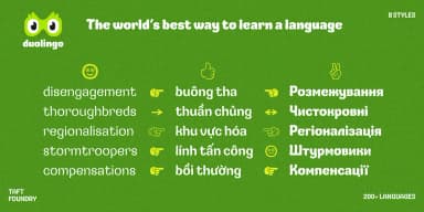 TA Gosling by TAFT Foundry — Display Font — thumbnail 9