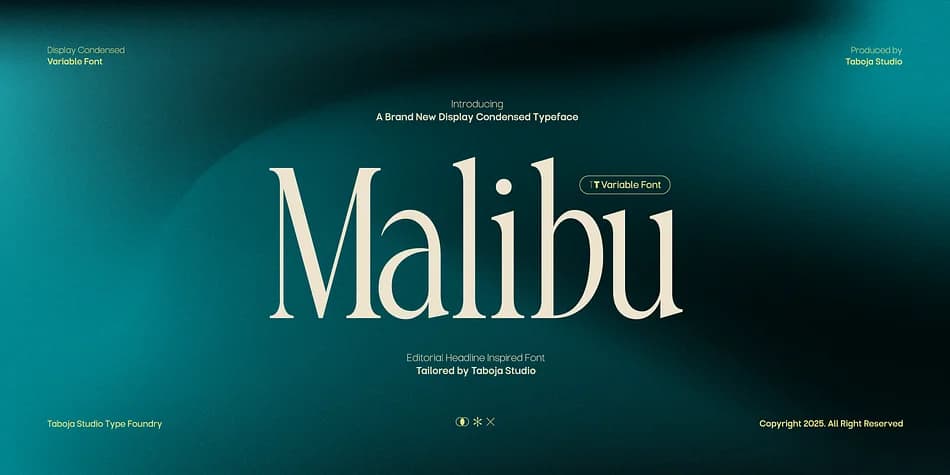 TBJ Malibu by Taboja Studio — Dingbats Font — preview 1