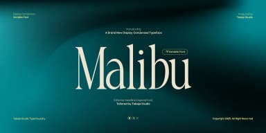 TBJ Malibu by Taboja Studio — Dingbats Font — thumbnail 1